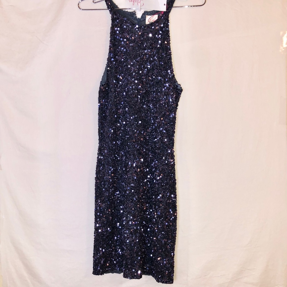 parker audrey sequin dress
